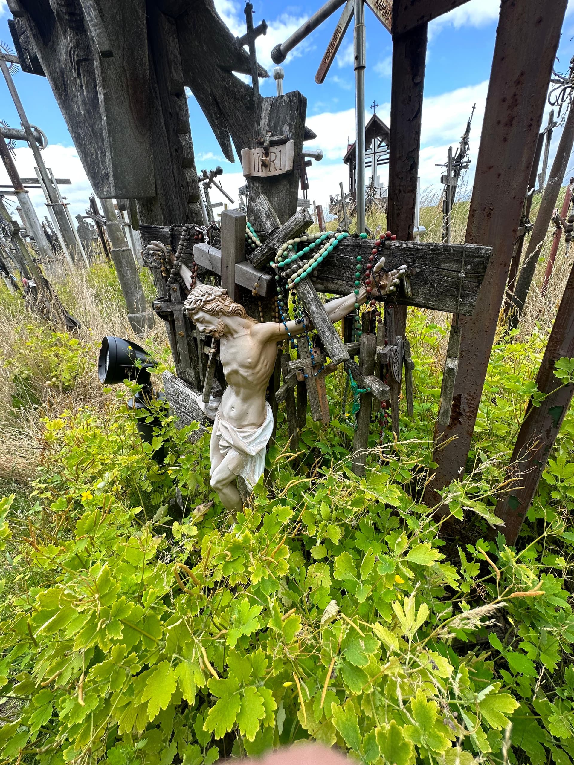 Parish Newsletter - Week 7, 2026